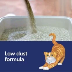 Fresh Step Outstretch Concentrated Unscented Clumping Clay Cat Litter, 19-lb Box -Pet Cat Supplies Store 308949 PT8. AC SS1800 V1694458886