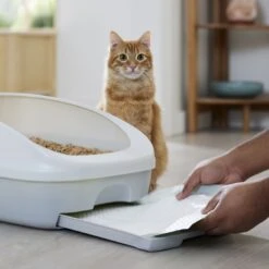 Frisco Cat Litter Pads, Scented -Pet Cat Supplies Store 309828 PT5. AC SS1800 V1675280050