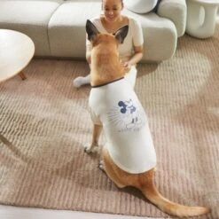 Disney Vintage Mickey Mouse Dog & Cat T-shirt 11 Disney Vintage Mickey Mouse Dog & Cat T-shirt -Pet Cat Supplies Store 311782 PT8. AC SS1800 V1643329468