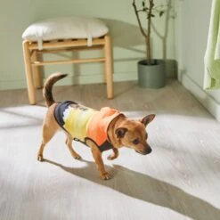 STAR WARS THE MANDALORIAN & GROGU Colorblock Dog & Cat Hoodie -Pet Cat Supplies Store 311892 PT8. AC SS1800 V1643325712