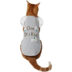 Frisco One Of A Kind Dog & Cat T-Shirt -Pet Cat Supplies Store 312080 PT2. AC SS1800 V1644424427