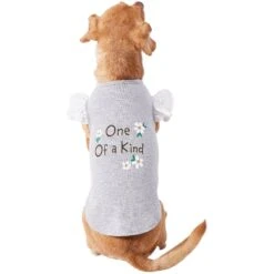 Frisco One Of A Kind Dog & Cat T-Shirt -Pet Cat Supplies Store 312080 PT3. AC SS1800 V1673303002