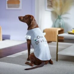 Frisco One Of A Kind Dog & Cat T-Shirt -Pet Cat Supplies Store 312080 PT5. AC SS1800 V1673304060