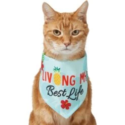 Frisco Living My Best Life Dog & Cat Bandana -Pet Cat Supplies Store 312288 PT2. AC SS1800 V1644884916
