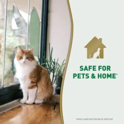 Nature's Miracle Cat Urine Destroyer Plus Enzymatic Stain Remover Foam Aerosol Spray, 17.5-oz Bottle -Pet Cat Supplies Store 313854 PT7. AC SS1800 V1701116506