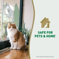 Nature's Miracle Cat Urine Destroyer Plus Enzymatic Formula Stain Remover Refill, 1-gal Bottle 14 Nature's Miracle Cat Urine Destroyer Plus Enzymatic Formula Stain Remover Refill, 1-gal Bottle -Pet Cat Supplies Store 313855 PT5. AC SS1800 V1701116480