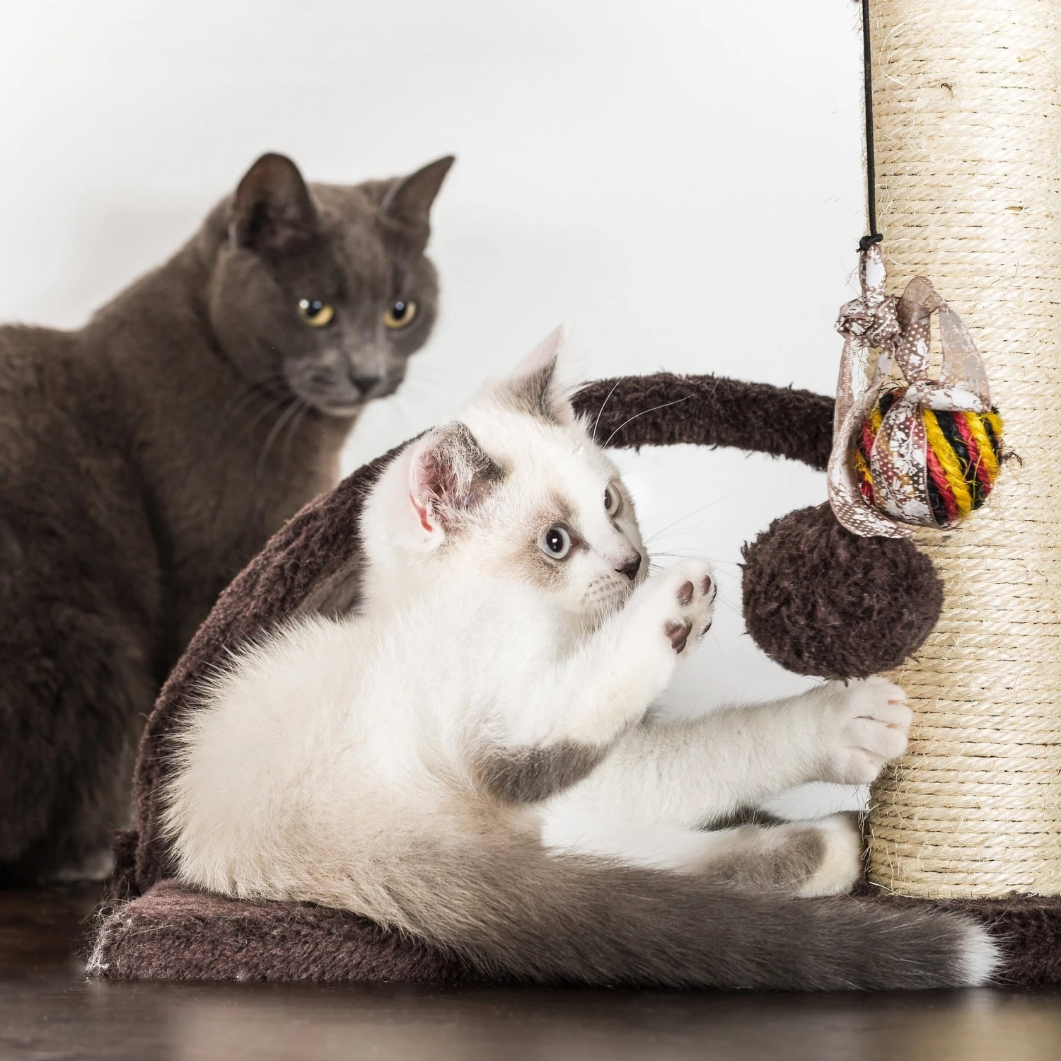 Pet Adobe 5-Tier 58.5-in Cat Tree & Condo 6 Pet Adobe 5-Tier 58.5-in Cat Tree & Condo - Image 6