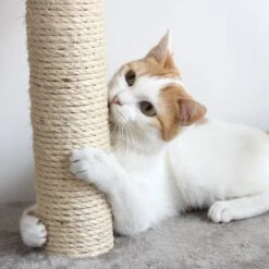 Pet Adobe Multi-Level 71.5-in Cat Tree & Condo 11 Pet Adobe Multi-Level 71.5-in Cat Tree & Condo -Pet Cat Supplies Store 315014 PT4. AC SS1800 V1626394575