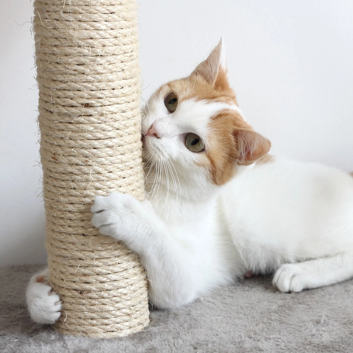 Pet Adobe Multi-Level 50.25-in Cat Tree 5 Pet Adobe Multi-Level 50.25-in Cat Tree - Image 5