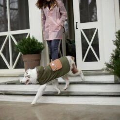 Frisco Lightweight Olive Reversible Packable Dog Raincoat -Pet Cat Supplies Store 315116 PT8. AC SS1800 V1646435907