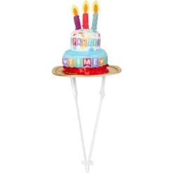 Disney Mickey Mouse Birthday Dog & Cat Hat