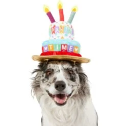 Disney Mickey Mouse Birthday Dog & Cat Hat -Pet Cat Supplies Store 316077 PT2. AC SS1800 V1646176394