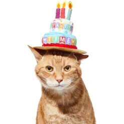 Disney Mickey Mouse Birthday Dog & Cat Hat -Pet Cat Supplies Store 316077 PT3. AC SS1800 V1646181348