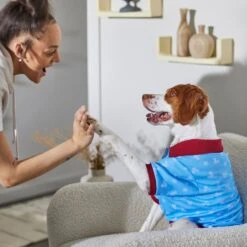 Disney Mickey Mouse Americana Dog & Cat Polo -Pet Cat Supplies Store 316084 PT8. AC SS1800 V1646176970