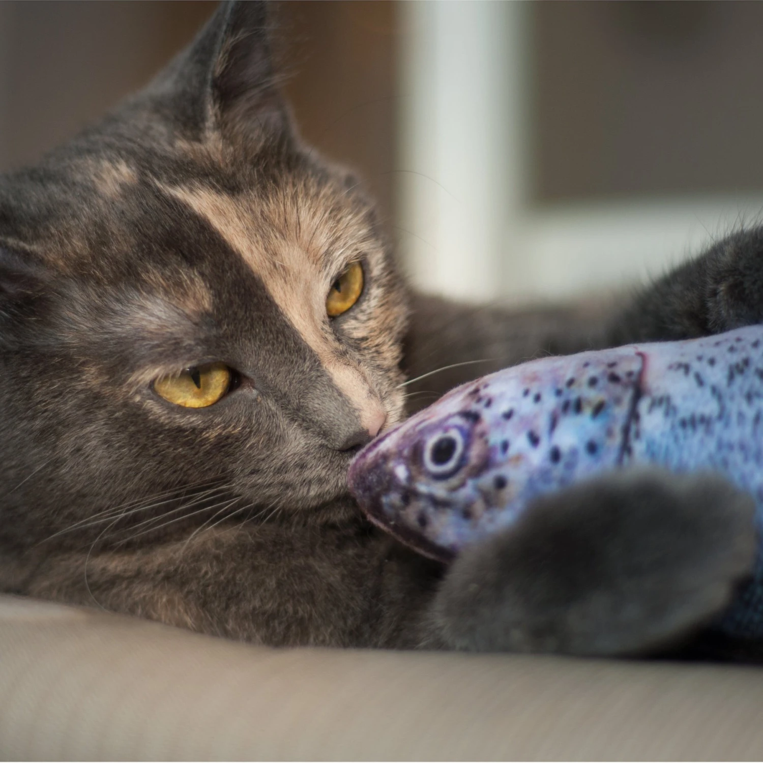 Pet Fit For Life Robotic Floppy Fish & Wand Cat Toy 8 Pet Fit For Life Robotic Floppy Fish & Wand Cat Toy - Image 8