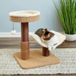Two By Two The Yaupon 21.5-in Cat Tree & Lounger, Beige 11 Two By Two The Yaupon 21.5-in Cat Tree & Lounger, Beige -Pet Cat Supplies Store 316950 PT3. AC SS1800 V1642649525