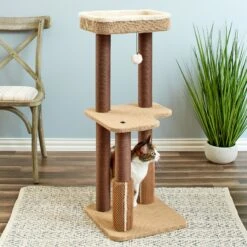 Two By Two The Beech 39-in Cat Tree, Beige -Pet Cat Supplies Store 316952 PT4. AC SS1800 V1642648589