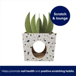 Frisco Potted Succulent Cardboard Cat House -Pet Cat Supplies Store 317723 PT2. AC SS1800 V1689342085