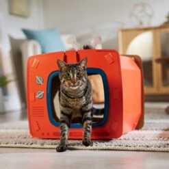 Frisco TV Set Cardboard Cat House -Pet Cat Supplies Store 317731 PT4. AC SS1800 V1688677247