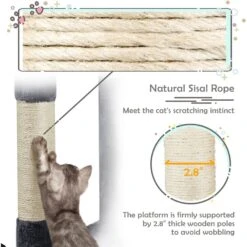 Yaheetech Activity Tower Basic 46-in Cat Tree -Pet Cat Supplies Store 325694 PT5. AC SS1800 V1680631082