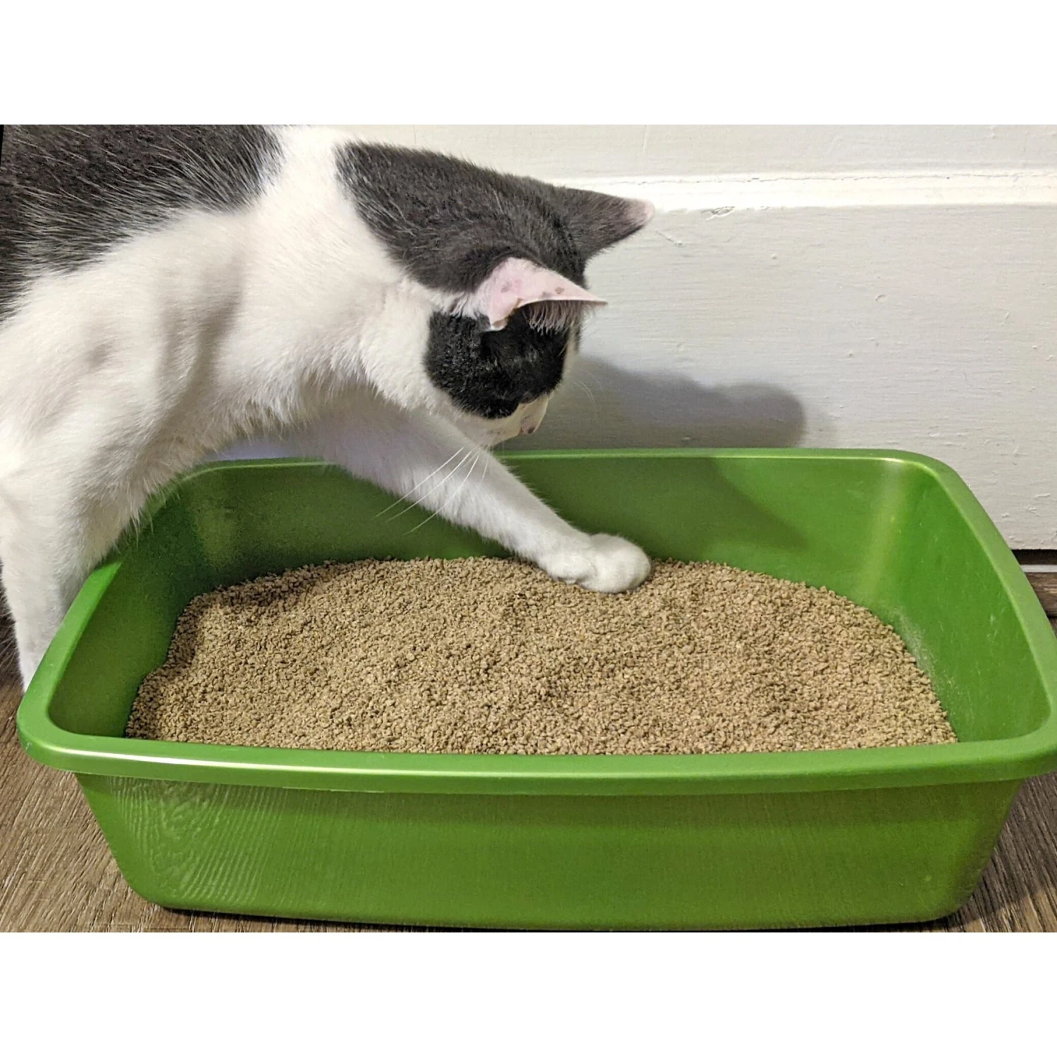 Dr. Bales One Source Clumping Cat Litter 6 Dr. Bales One Source Clumping Cat Litter - Image 6