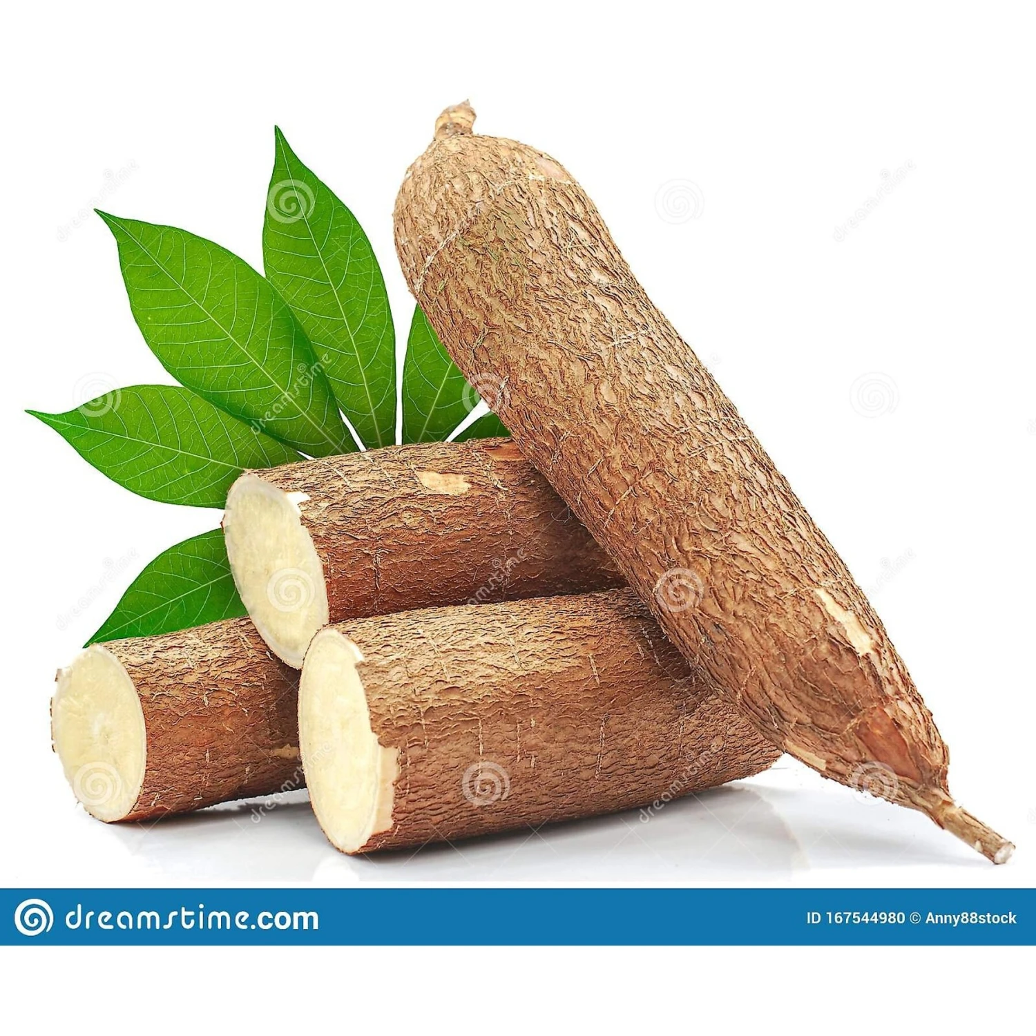 Dr. Bales One Source Clumping Cat Litter 9 Dr. Bales One Source Clumping Cat Litter - Image 9