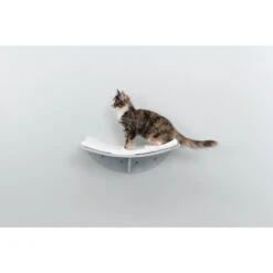 TRIXIE Lea Wall Mounted Cat Bed, X-Large -Pet Cat Supplies Store 333737 PT2. AC SS1800 V1634074890