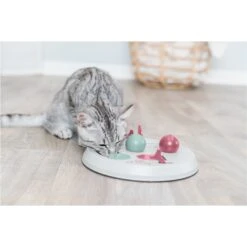 TRIXIE Cat Activity Flip Board Cat Toy 7 TRIXIE Cat Activity Flip Board Cat Toy -Pet Cat Supplies Store 334173 PT2. AC SS1800 V1633548983