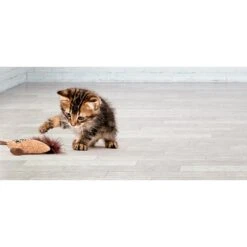 Litterbox.com Cork Pig Cat Toy 7 Litterbox.com Cork Pig Cat Toy -Pet Cat Supplies Store 334224 PT3. AC SS1800 V1633637784