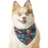 Pixar Coco Remember Me Dog & Cat Bandana