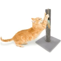 SmartyKat Simply Scratch Carpet Cat Scratch Post With Feather Cat Toy -Pet Cat Supplies Store 336393 PT4. AC SS1800 V1634310219