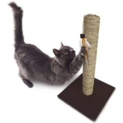SmartyKat Simply Scratch Seagrass Cat Scratch Post With Feather Cat Toy -Pet Cat Supplies Store 336395 PT4. AC SS1800 V1634309494