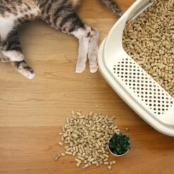 Casual Home Natural Pine Pellet Unscented Non-Clumping Cat Litter, 20-lb Bag -Pet Cat Supplies Store 338569 PT6. AC SS1800 V1635349342