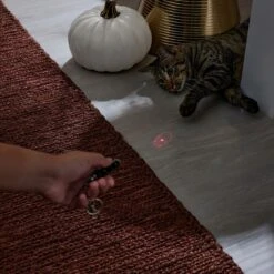 Frisco Halloween Skull Laser Cat Toy -Pet Cat Supplies Store 344068 PT3. AC SS1800 V1659279988