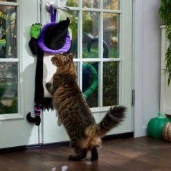 Frisco Halloween Witch Doorknob Hanger Cat Toy With Catnip 8 Frisco Halloween Witch Doorknob Hanger Cat Toy With Catnip -Pet Cat Supplies Store 344092 PT3. AC SS1800 V1657657035