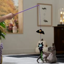 Disney Villains Maleficent & Raven Teaser Wand Cat Toy With Catnip 5 Disney Villains Maleficent & Raven Teaser Wand Cat Toy With Catnip -Pet Cat Supplies Store 344525 PT3. AC SS1800 V1657657088