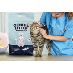 Alpha Paw Genius Litter With Health Indicator Cat Litter, 6-lbs 10 Alpha Paw Genius Litter With Health Indicator Cat Litter, 6-lbs -Pet Cat Supplies Store 344555 PT2. AC SS1800 V1667331285