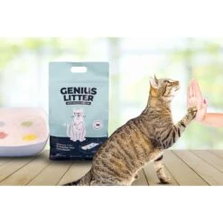Alpha Paw Genius Litter With Health Indicator Cat Litter, 6-lbs 14 Alpha Paw Genius Litter With Health Indicator Cat Litter, 6-lbs -Pet Cat Supplies Store 344555 PT7. AC SS1800 V1667331826