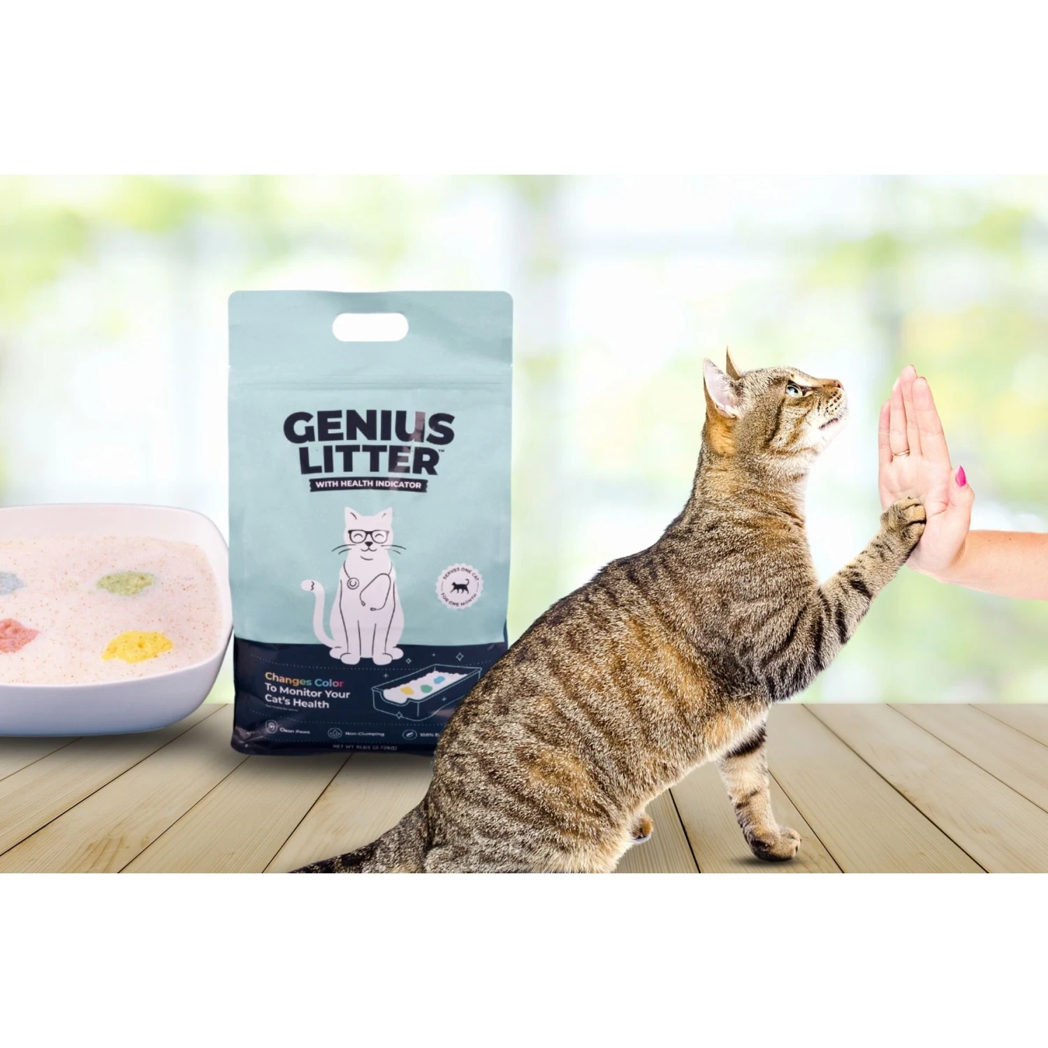 Alpha Paw Genius Litter With Health Indicator Cat Litter, 6-lbs 7 Alpha Paw Genius Litter With Health Indicator Cat Litter, 6-lbs - Image 7