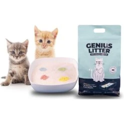 Alpha Paw Genius Litter With Health Indicator Cat Litter, 6-lbs 15 Alpha Paw Genius Litter With Health Indicator Cat Litter, 6-lbs -Pet Cat Supplies Store 344555 PT8. AC SS1800 V1667333254