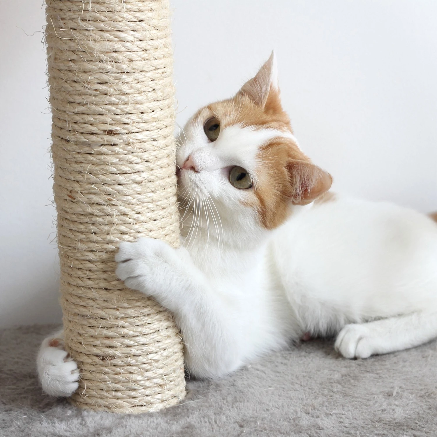 Pet Adobe 4-Tier Sisal 42-in Cat Tree 5 Pet Adobe 4-Tier Sisal 42-in Cat Tree - Image 5