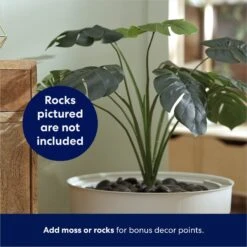 Frisco Hidden Planter Cat Litter Box, 16-in -Pet Cat Supplies Store 345566 PT4. AC SS1800 V1668737273