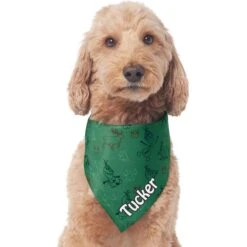 Disney Frozen's Olaf & Marshmallow Personalized Dog & Cat Bandana -Pet Cat Supplies Store 346382 PT3. AC SS1800 V1672179021