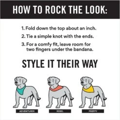 Disney Frozen's Olaf & Marshmallow Personalized Dog & Cat Bandana -Pet Cat Supplies Store 346382 PT7. AC SS1800 V1671228216