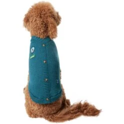 Frisco Teal Button Down Dog & Cat Sweater -Pet Cat Supplies Store 353580 PT2. AC SS1800 V1659006937