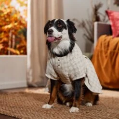 Frisco Tweed Weave Ruffle Skirt Dog & Cat Dress 12 Frisco Tweed Weave Ruffle Skirt Dog & Cat Dress -Pet Cat Supplies Store 353649 PT6. AC SS1800 V1660750168