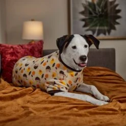 Frisco Hedgehog Dog & Cat Fleece Pajamas -Pet Cat Supplies Store 353730 PT6. AC SS1800 V1660749991