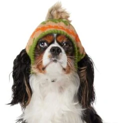Frisco Striped Poof Dog & Cat Knitted Hat 8 Frisco Striped Poof Dog & Cat Knitted Hat -Pet Cat Supplies Store 353793 PT2. AC SS1800 V1659008241