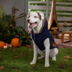 Frisco Mid-Heavyweight Plaid Fleece Lined Dog & Cat Coat -Pet Cat Supplies Store 353885 PT7. AC SS1800 V1660749836