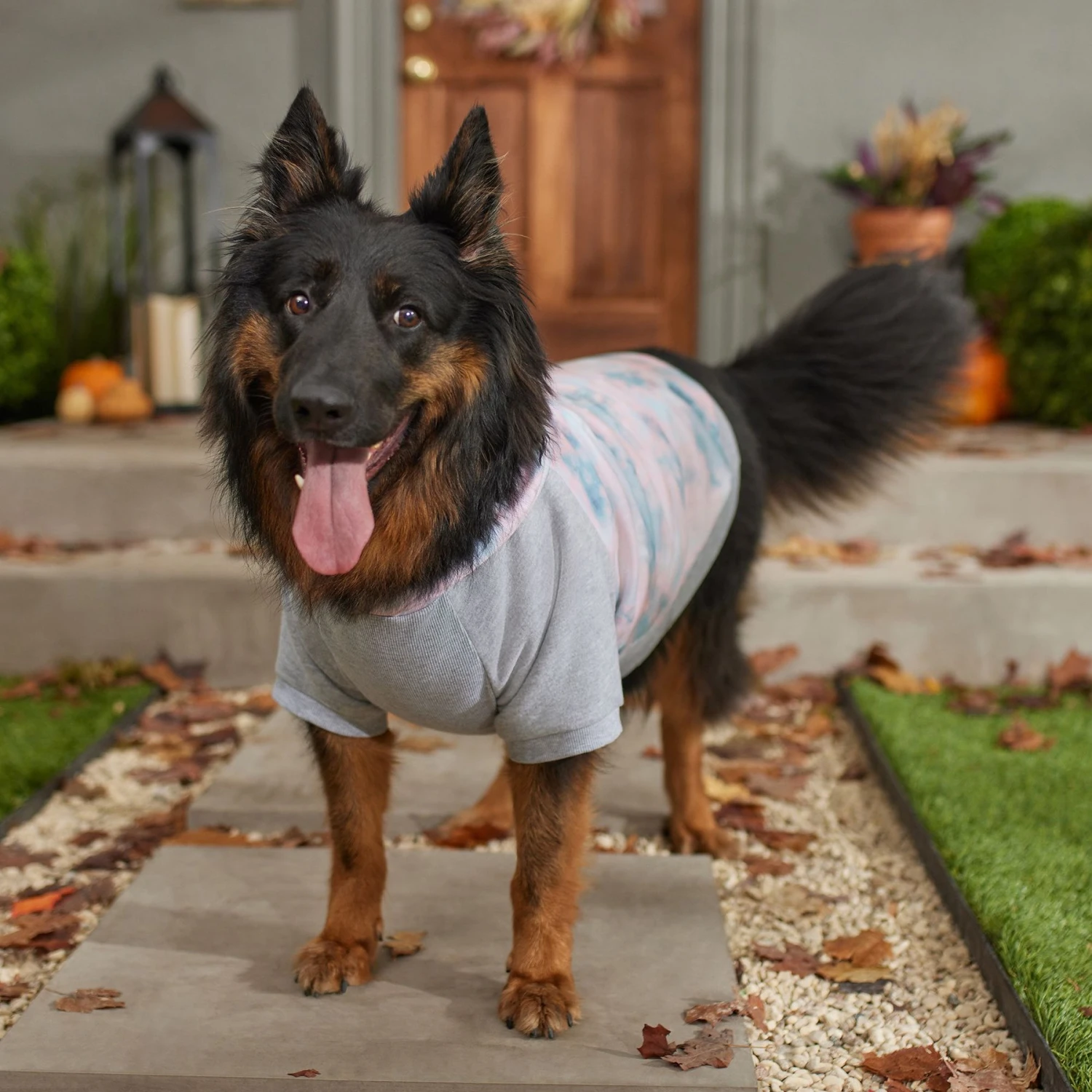 Frisco Pink Tie Dye Dog & Cat Hoodie 7 Frisco Pink Tie Dye Dog & Cat Hoodie - Image 7